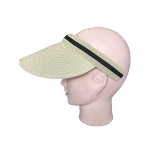 Sun Visor