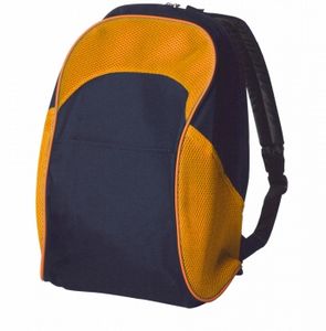 Two Tone School Backpack