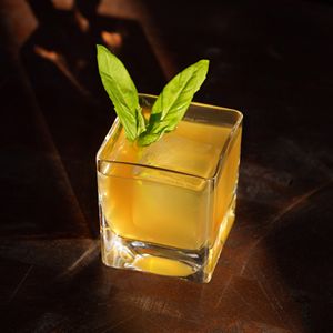 Viski® Braque Crystal Rocks Glass