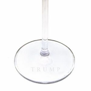 ViskiÂ® Meridian Martini Glass