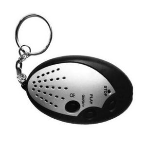 Voice Recorder LED Keychain