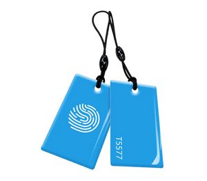 Waterproof Epoxy Smart NFC Card with Keychain