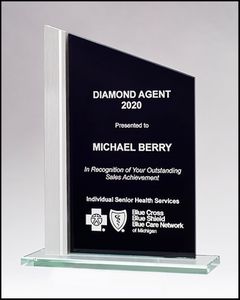 Zenith Peak Glass Award