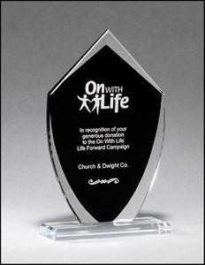 Zenith Shield Glass Award