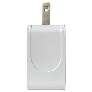 iPort Plus Wall Charger